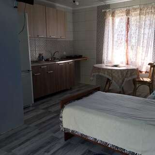 Гостевой дом Tsarikova House Loyew Двухместный номер с 2 отдельными кроватями-8